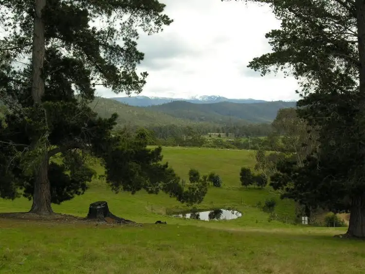 She Oak Road, Judbury TAS 7109
