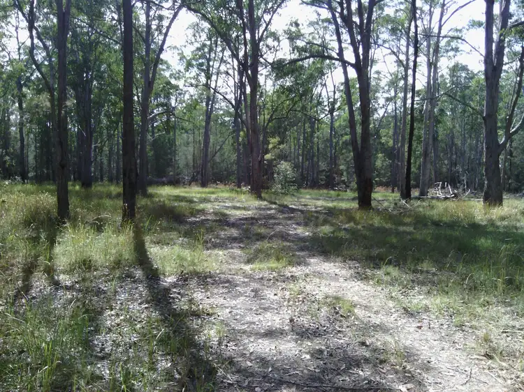 Third view of Homely rural property listing, Lot 1/ 84 Owens Access, Collombatti NSW 2440
