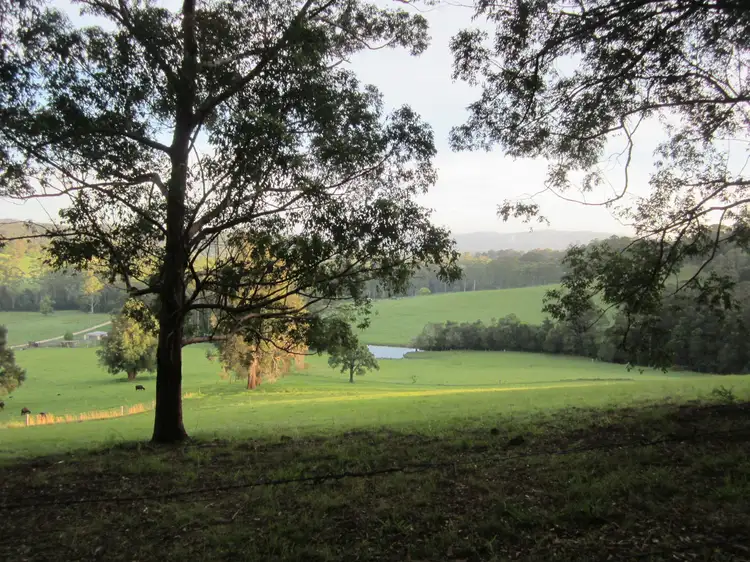 Fifth view of Homely rural property listing, 331 Nana Creek Road, Nana Glen NSW 2450