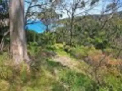 Fourth view of Homely land listing, 19 Mitchell Grove, Separation Creek VIC 3221