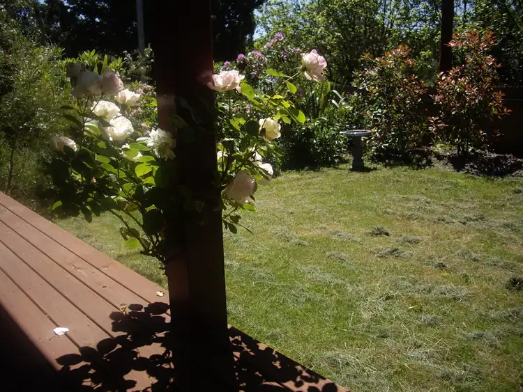 Fourth view of Homely house listing, 99 Govetts Leap Road, Blackheath NSW 2785