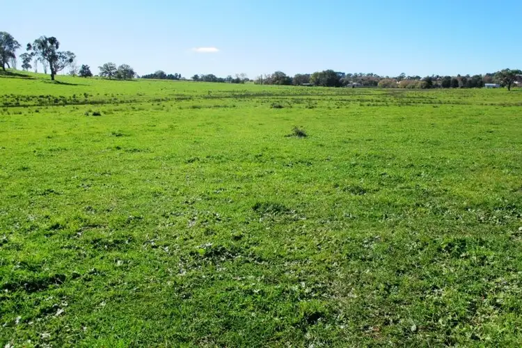Fourth view of Homely land listing, 160 Forest Reefs Road, Millthorpe NSW 2798