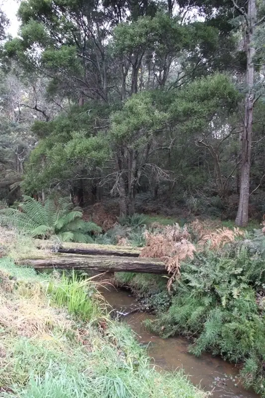 Third view of Homely land listing, Lot 5 Cairns Road, Surges Bay TAS 7116