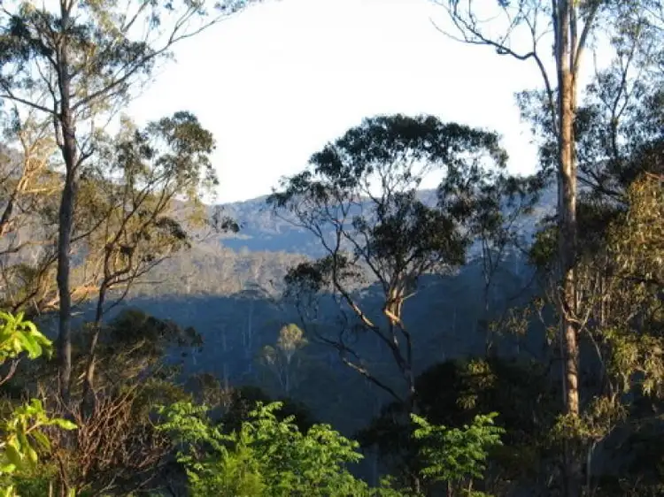 Fifth view of Homely rural property listing, 369 Devils Hole Road, Wyndham NSW 2550