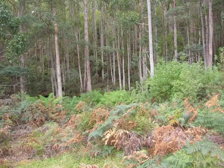 Seventh view of Homely land listing, Cowmeadows Road, Cradoc TAS 7109