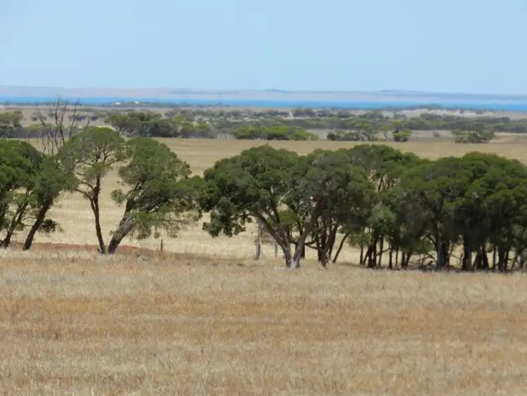 Sixth view of Homely rural property listing, Haslam Dog Fence Rd Haslam, Streaky Bay SA 5680