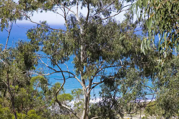 Third view of Homely house listing, 11 Bass Avenue, Separation Creek VIC 3221