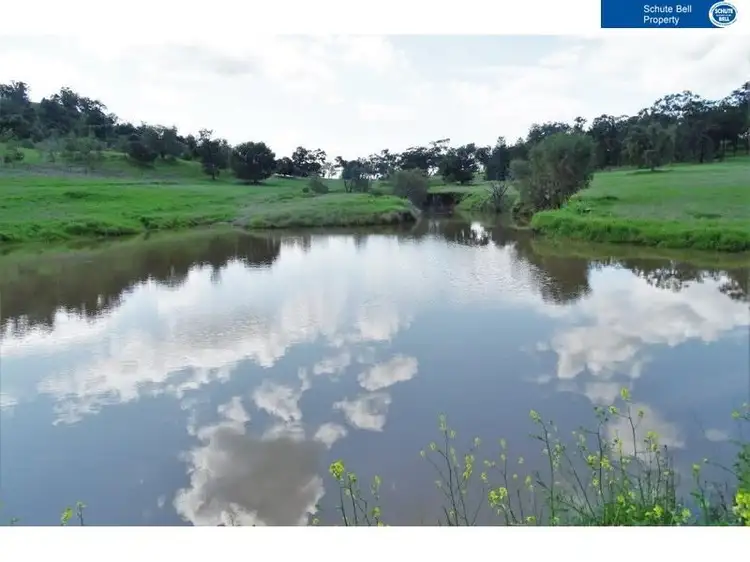 Seventh view of Homely rural property listing, - Bramble Aggregation, Coonamble NSW 2829