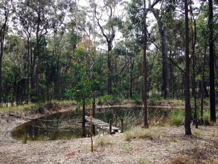 Main view of Homely land listing, Lot 5, LOT Lot 5, 1067 Congo Rd, Meringo NSW 2537