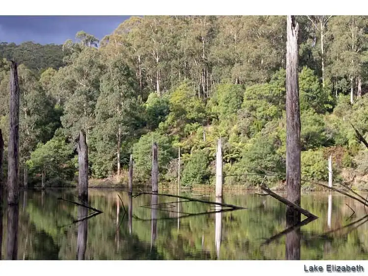 Second view of Homely land listing, 38 Grant Street, Forrest VIC 3236