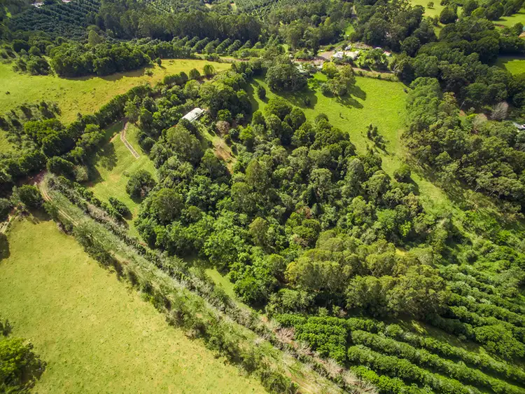Seventh view of Homely land listing, 17 Byrne Road, Rosebank NSW 2480