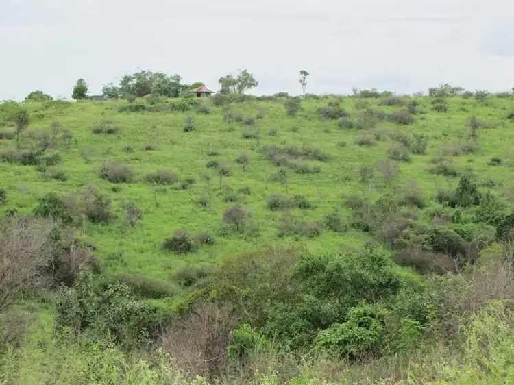 Second view of Homely land listing, 103 Boneham Rd, Mount Larcom QLD 4695