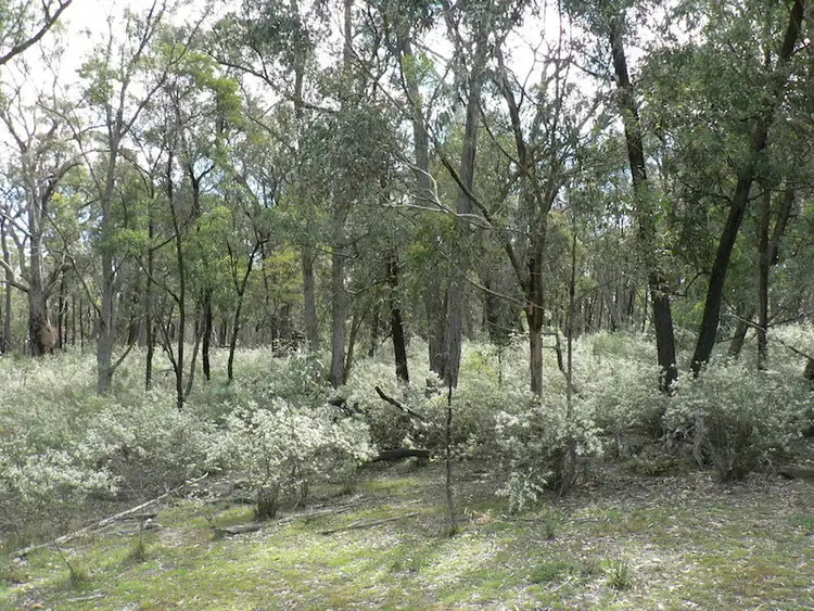 Second view of Homely rural property listing, 1451 Tugalong Rd, Canyonleigh NSW 2577