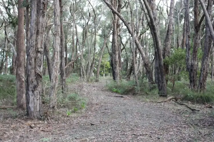 Third view of Homely land listing, 565 Wormbete Station Road, Torquay VIC 3228