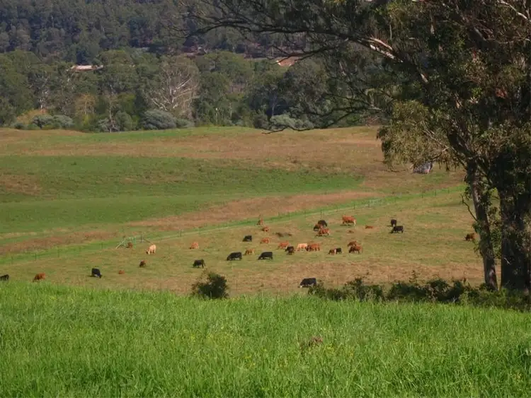 Seventh view of Homely rural property listing, Address available on request