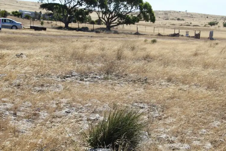 Fourth view of Homely land listing, Lot 37 Second Street, Sheringa SA 5607