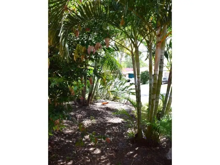 Second view of Homely house listing, 11 Muscovy Place, Forest Lake QLD 4078