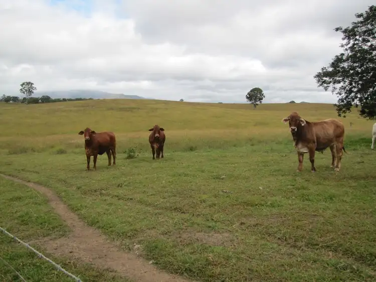 Seventh view of Homely rural property listing, Address available on request