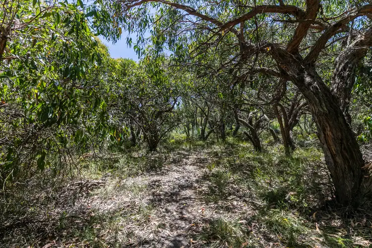 Fourth view of Homely land listing, 49 Boyd Avenue, Moggs Creek VIC 3231