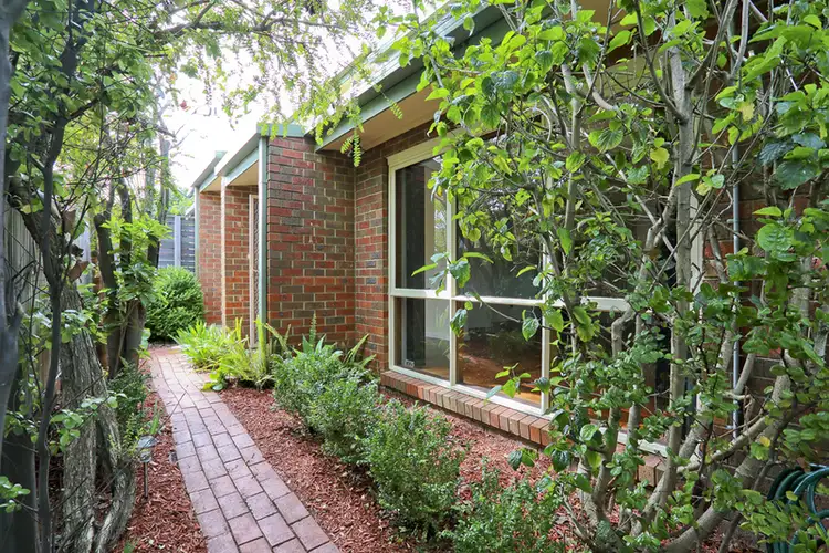 Main view of Homely townhouse listing, 11/203 Little Malop Street, Geelong VIC 3220