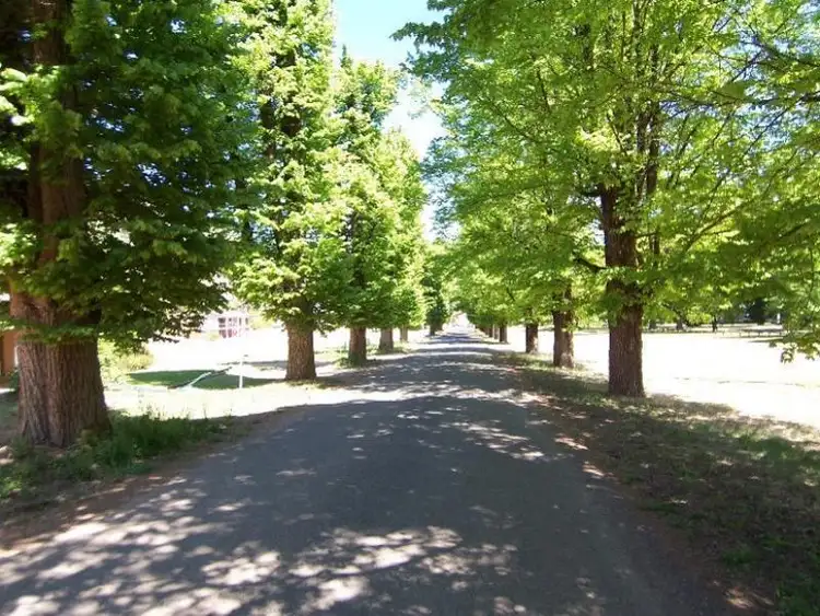 Second view of Homely land listing, Lot 12 Kilfinnan Crescent, Bright VIC 3741