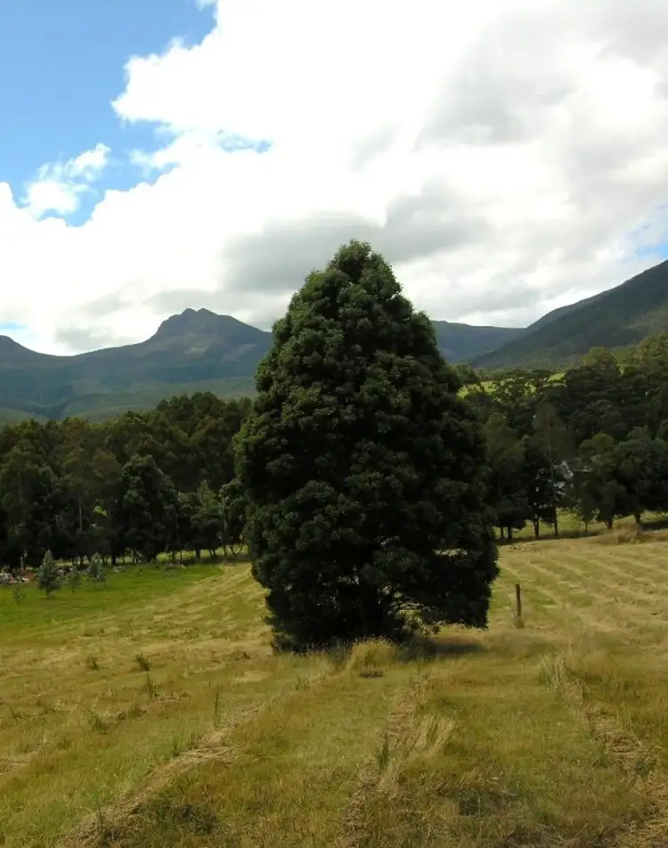 Third view of Homely land listing, Lot 2 Mountain River Road, Mountain River TAS 7109