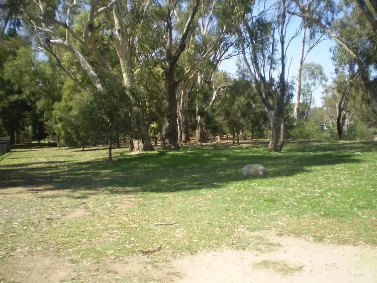 Sixth view of Homely rural property listing, 175 Torgannah Road, Yarroweyah VIC 3644