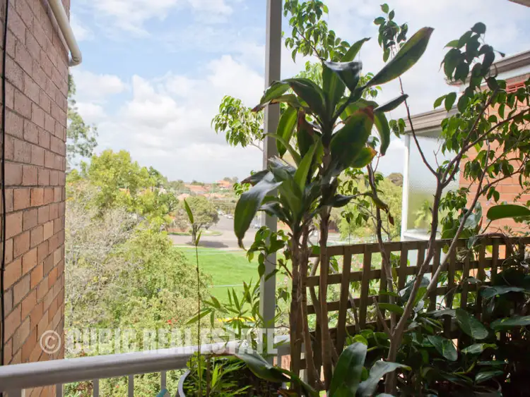 Fourth view of Homely unit listing, 3 Blackwood Road, Ashfield NSW 2131