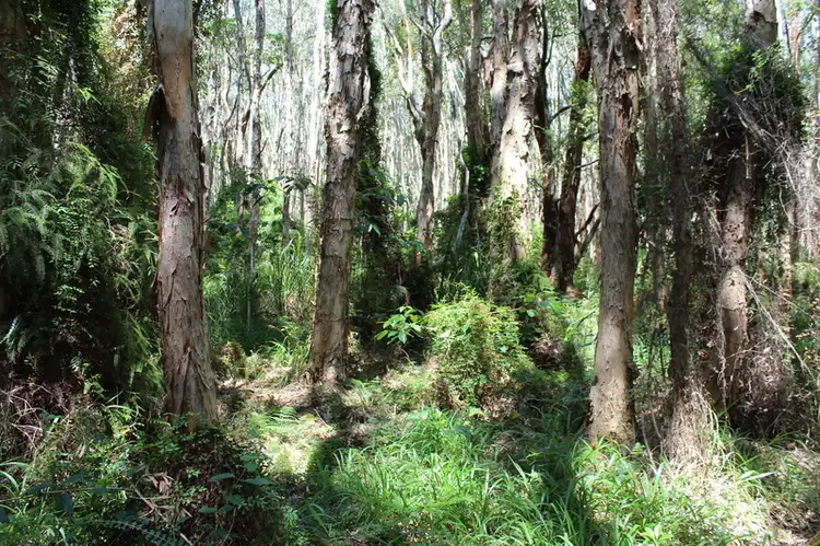 Second view of Homely land listing, Lot 14 Bangalow Road, Byron Bay NSW 2481