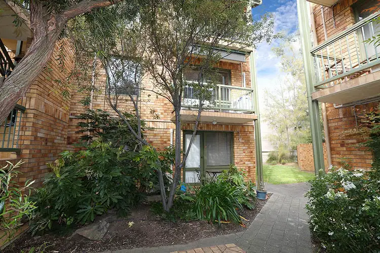 25/22 Cambridge Street, North Adelaide SA 5006