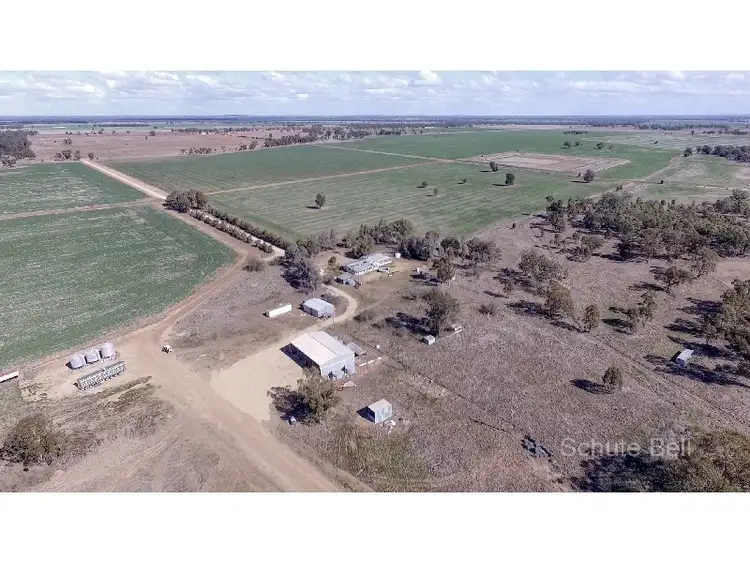 . Karibu, Narromine NSW 2821