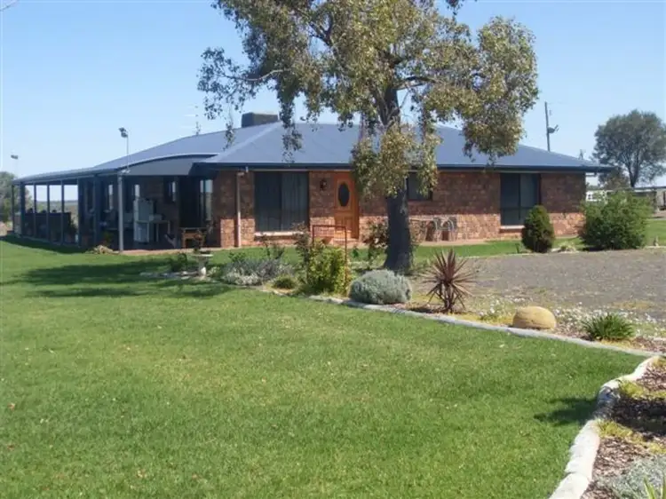Main view of Homely rural property listing, 320 Mountainview Rd, Roma QLD 4455