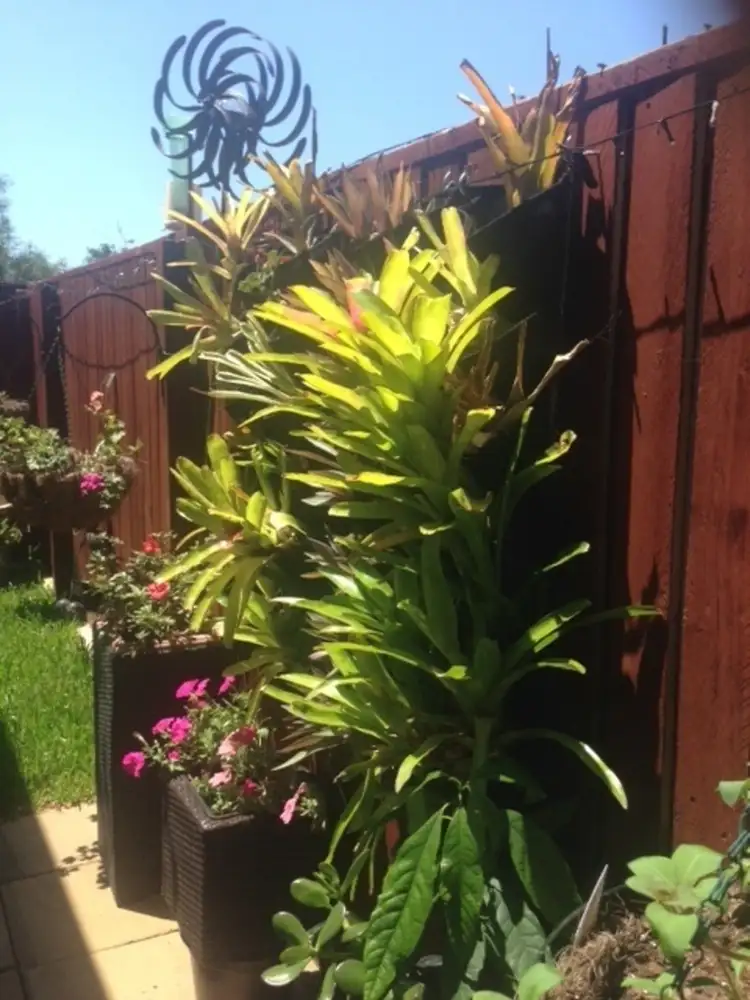 Fifth view of Homely retirement listing, 22/41 Radke Road, Bethania QLD 4205