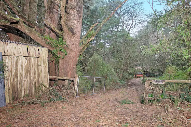 Second view of Homely rural property listing, 1100 Skenes Creek Road, Tanybryn VIC 3249