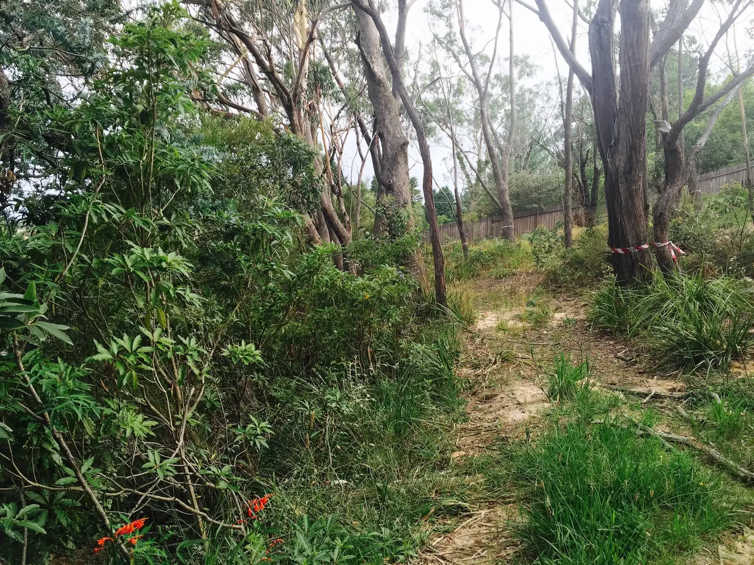 Main view of Homely land listing, 3 East Parade, Leura NSW 2780