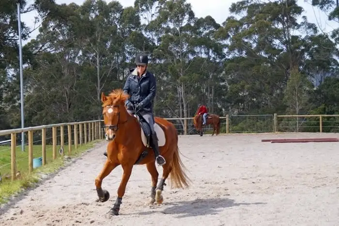 Fifth view of Homely rural property listing, 41 Barry Road, Denmark WA 6333