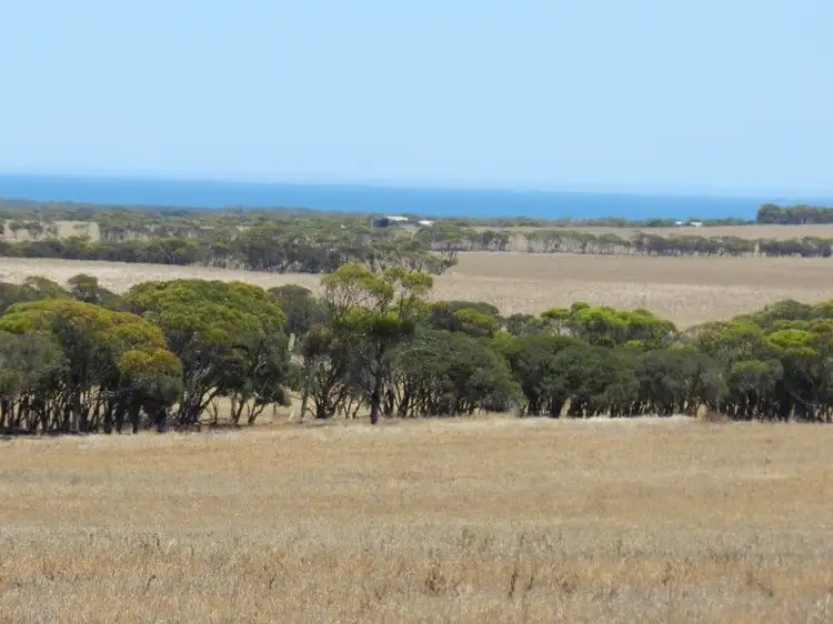 Fourth view of Homely rural property listing, Haslam Dog Fence Rd Haslam, Streaky Bay SA 5680