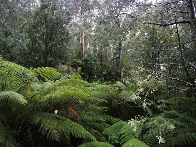 Seventh view of Homely land listing, Reeves Road, Pelverata TAS 7150