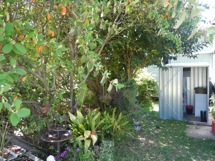 Sixth view of Homely rural property listing, 48 Rayleigh Street, Wallangarra QLD 4383