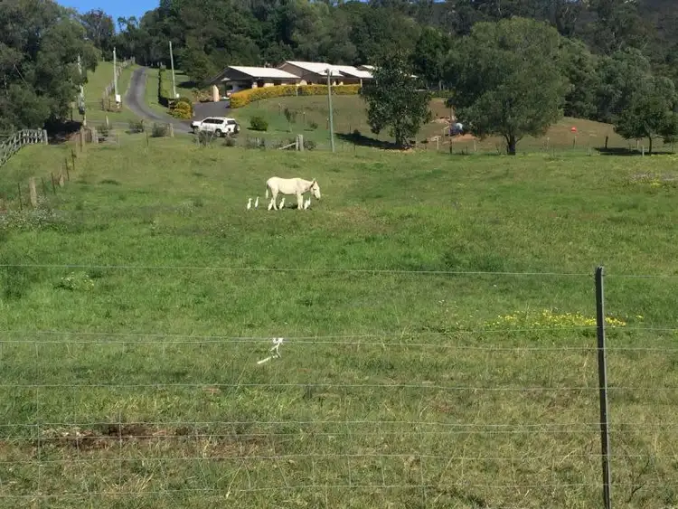 Third view of Homely land listing, 359 Ruffles Road, Willow Vale QLD 4209