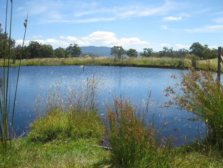 Seventh view of Homely house listing, 23 Sandreef Road, Abels Bay TAS 7112