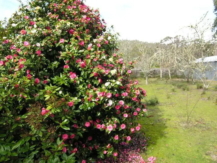 Seventh view of Homely house listing, 91 Lowes Road, Garden Island Creek TAS 7112
