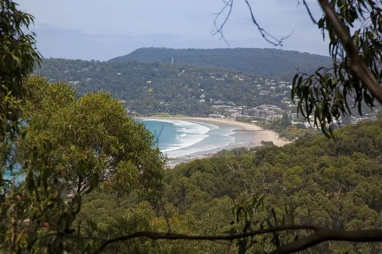 31 Summerhills Avenue, Lorne VIC 3232