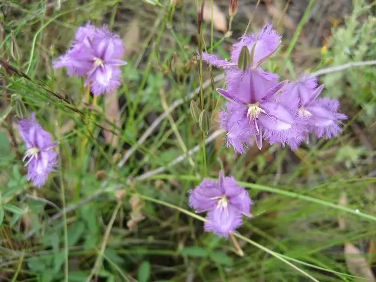Seventh view of Homely land listing, 882 Comara Road, Bendemeer NSW 2355