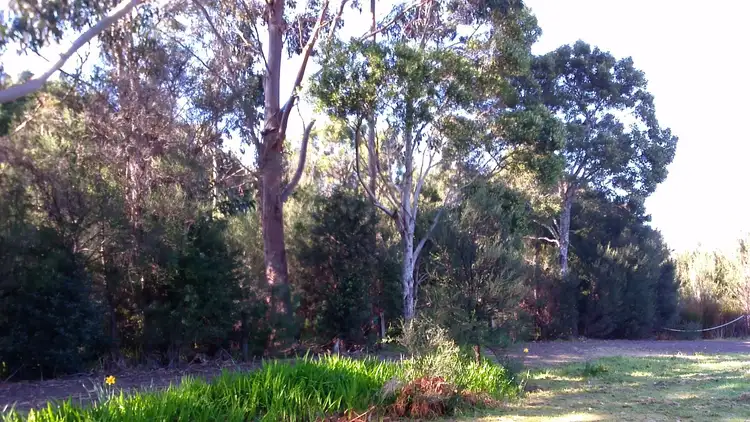 Seventh view of Homely land listing, Lot 8 Harrison Street, Strahan TAS 7468