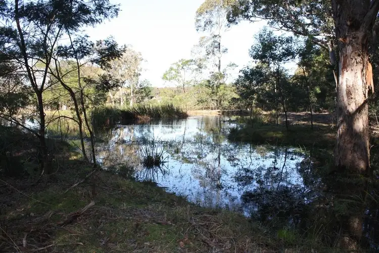 Seventh view of Homely land listing, Lot 208 Daisy Place, Worrigee NSW 2540
