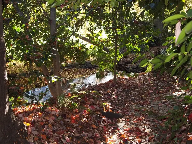 Sixth view of Homely house listing, 77 Gavan Street, Bright VIC 3741