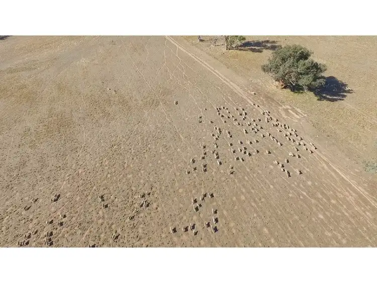 Seventh view of Homely rural property listing, Address available on request