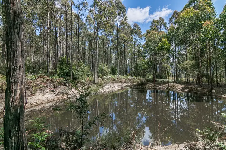 Fifth view of Homely land listing, 767 Lonnavale Road, Lonnavale TAS 7109