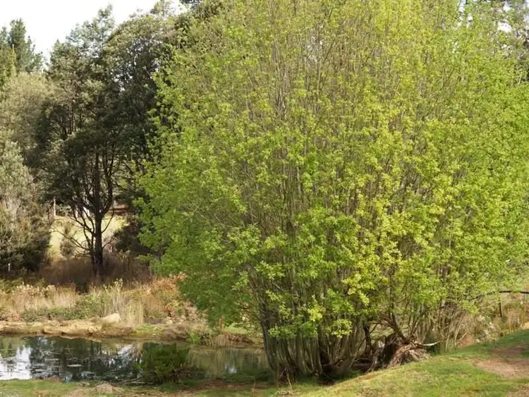 Main view of Homely land listing, Address available on request